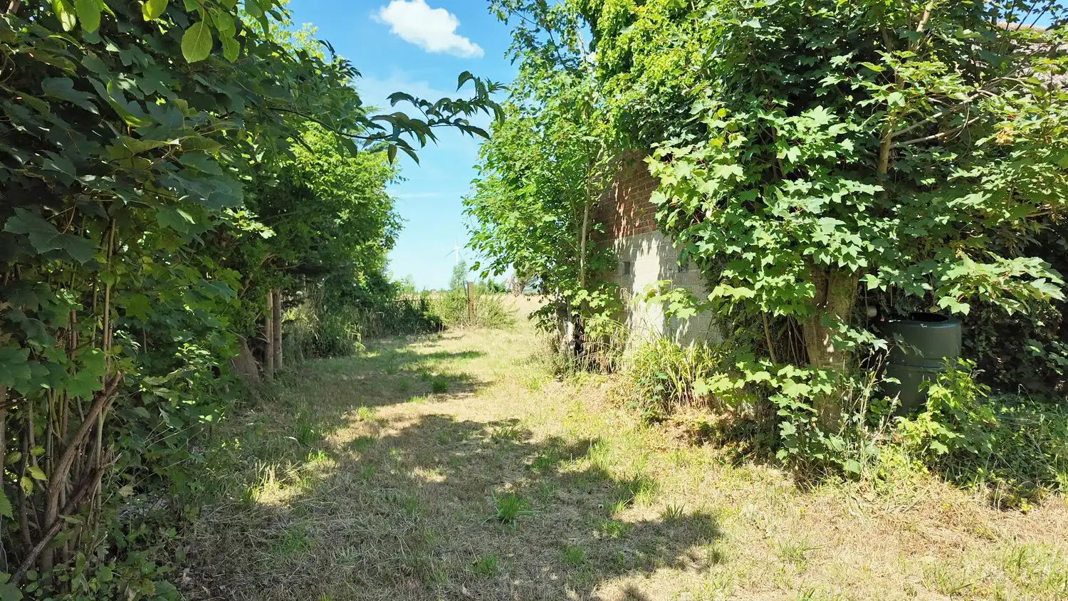 Te renoveren woning met weide op royaal perceel in Eeklo foto 24
