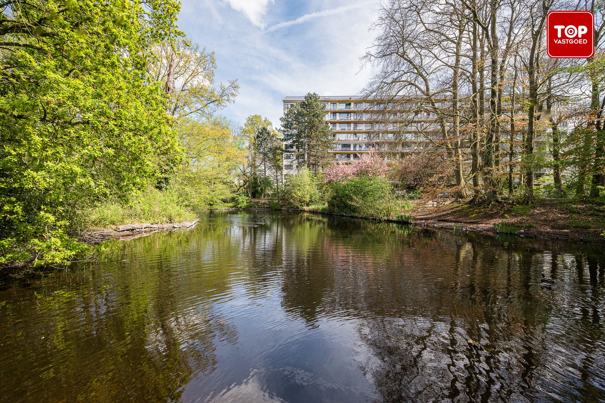 ()=>{if(producerUpdateValueVersion(node),producerAccessed(node),node.value===ERRORED)throw node.error;return node.value} Elslopark 30 - 9940 Evergem