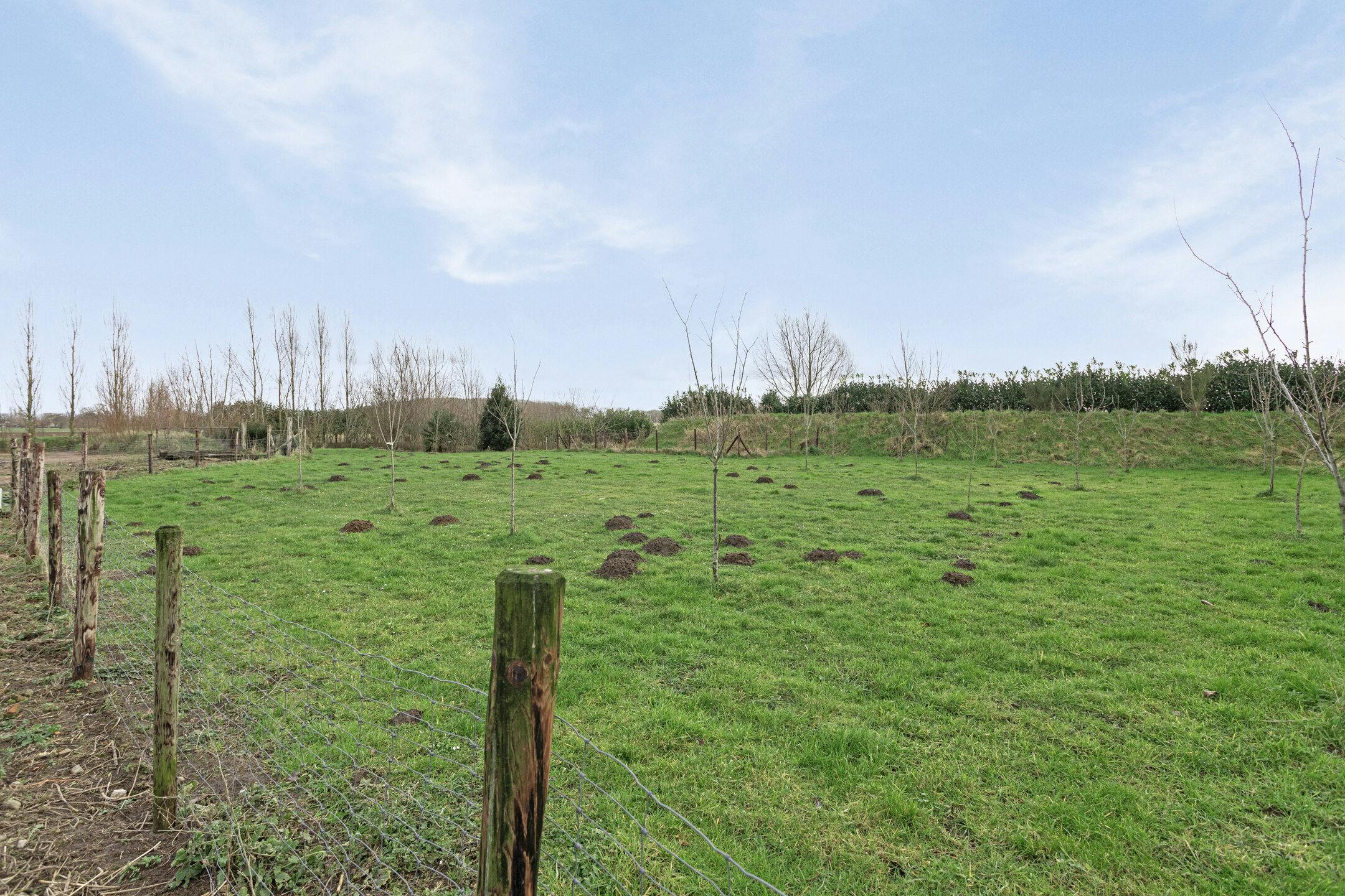 Loods met woonst (zonder functiewijziging) te Moerkerke. foto 13