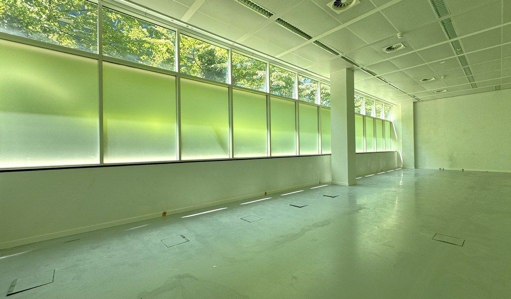 Gelijkvloers kantoor te huur in  "Rubens Building" te Berchem foto 6