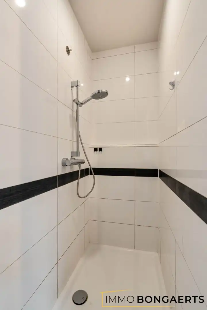 Gerenoveerde woning op een ruim perceel in Opglabbeek foto 10