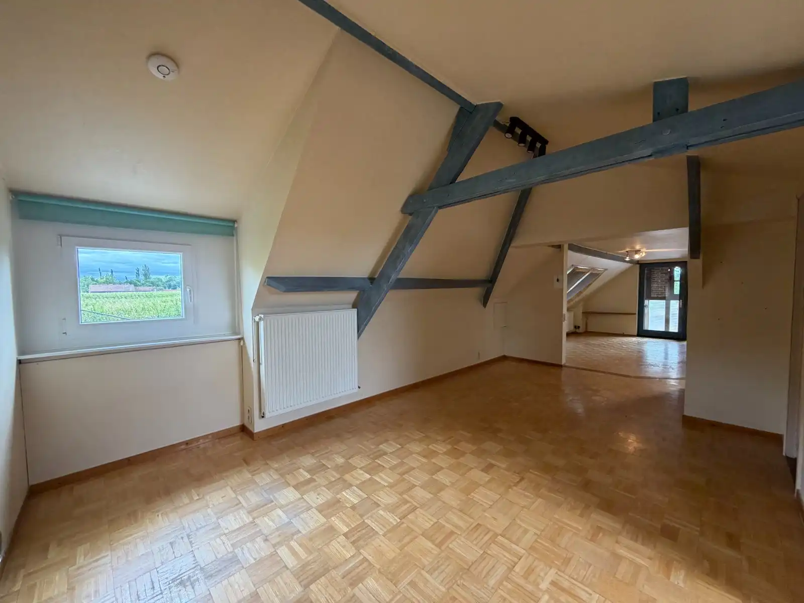 VEELZIJDIGE LANDELIJKE WONING OP 1.170 M² MET TAL VAN MOGELIJKHEDEN! foto 41