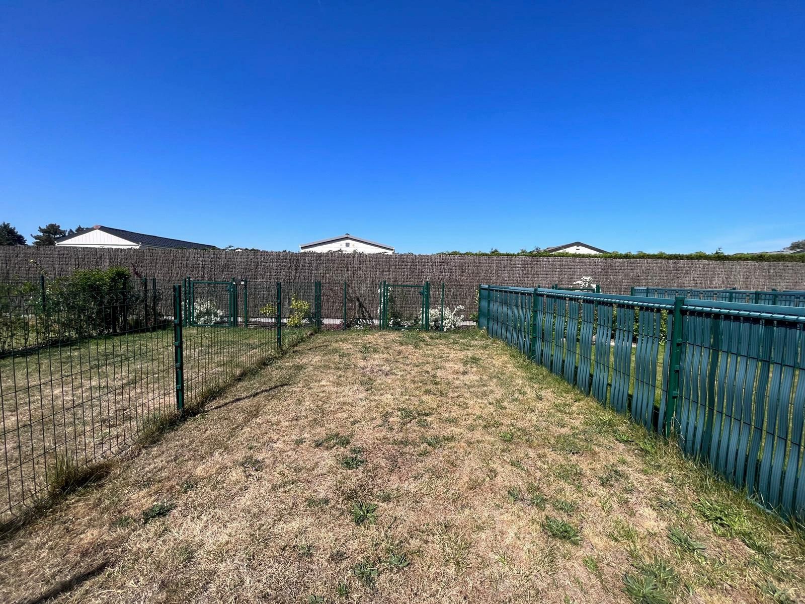 Vakantiewoning met zuid gerichte tuin op wandelafstand van de beschermde duinen  foto 4