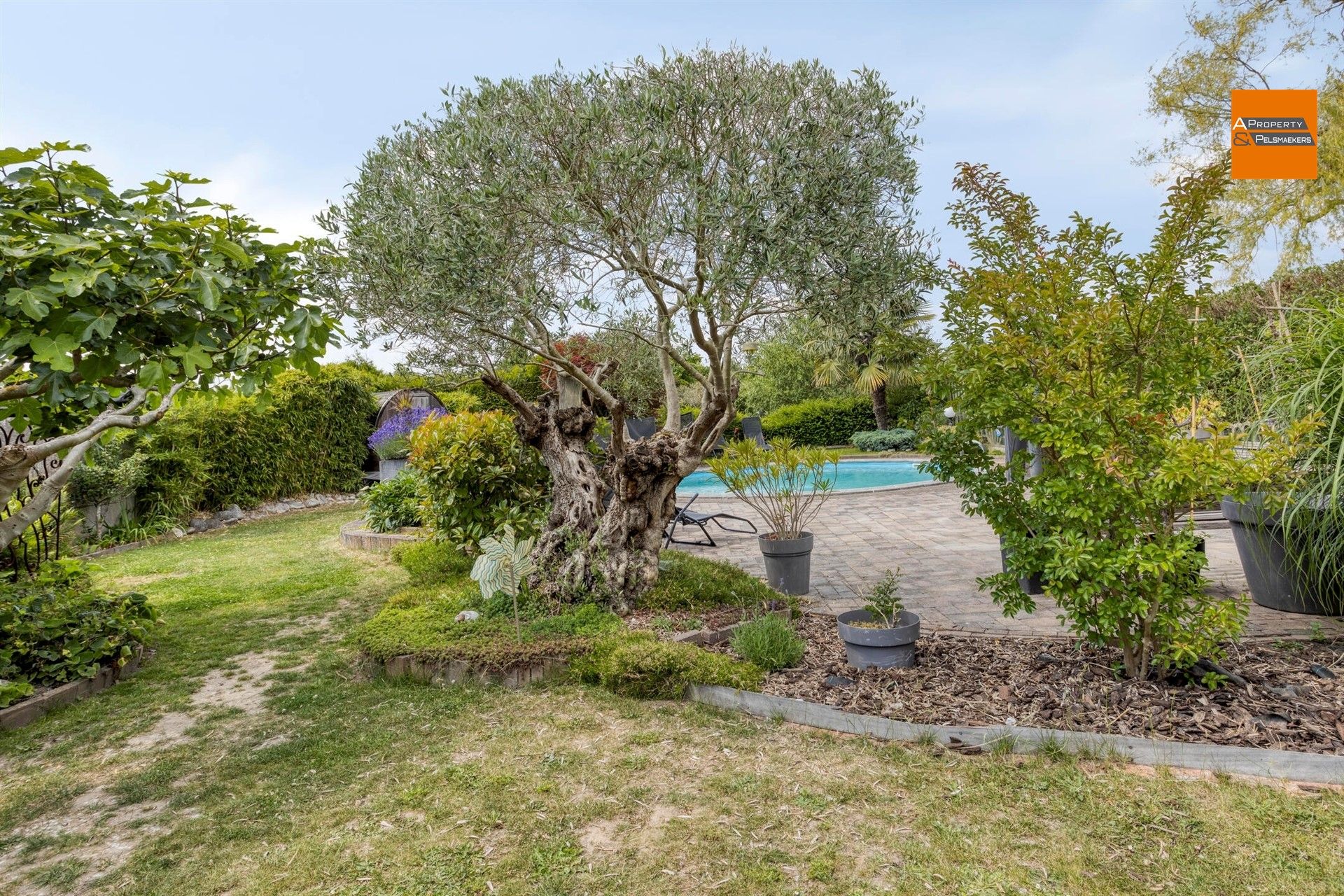 Woning 4 slpk met grote tuin en uitbreidingsmogeliijkheden foto 23