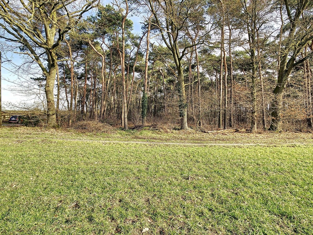 Perceel van 16.501m² aan de Kreyelerheide (bos in landschappelijk waardevol agrarisch gebied) foto 4