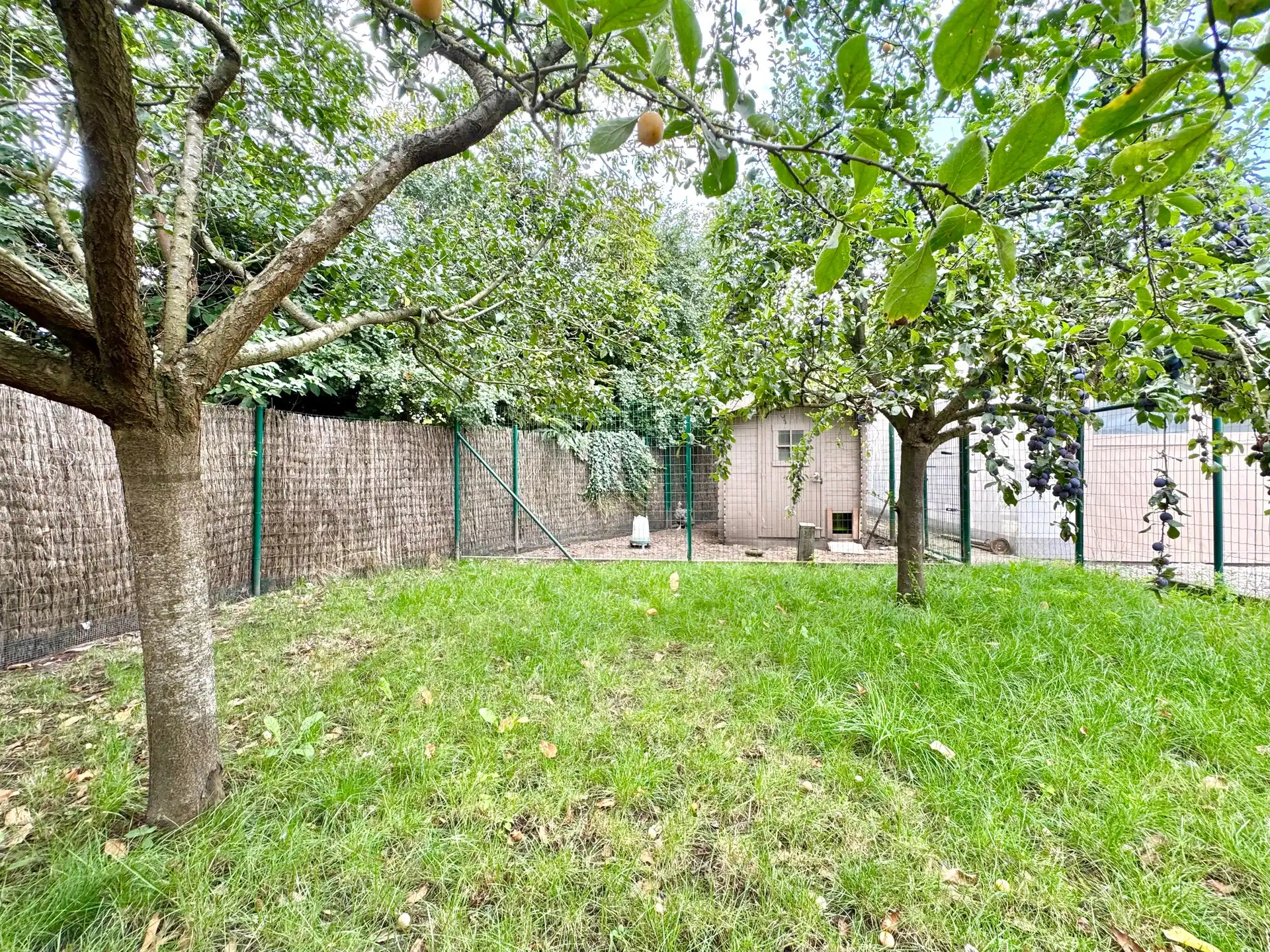 ENERGIEZUINIG GEBOUW MET 2 GROTE GARAGES - 553 M² foto 3