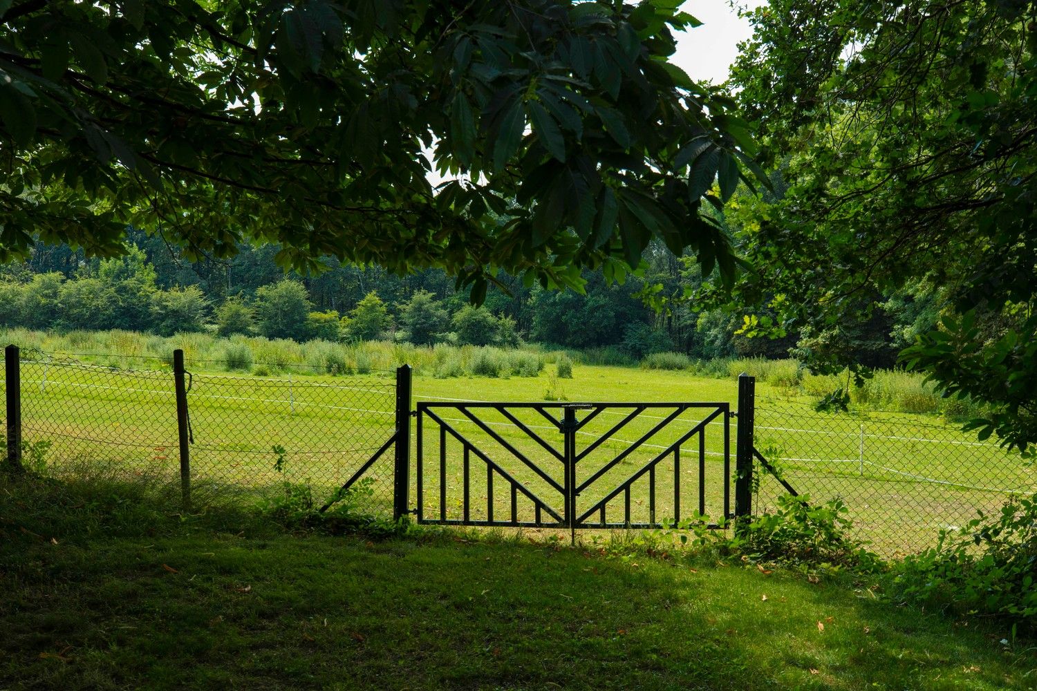 Eigentijdse villa met binnenzwembad en wellness, prachtig gesitueerd op een perceel van bijna 7ha te Warsage foto 5