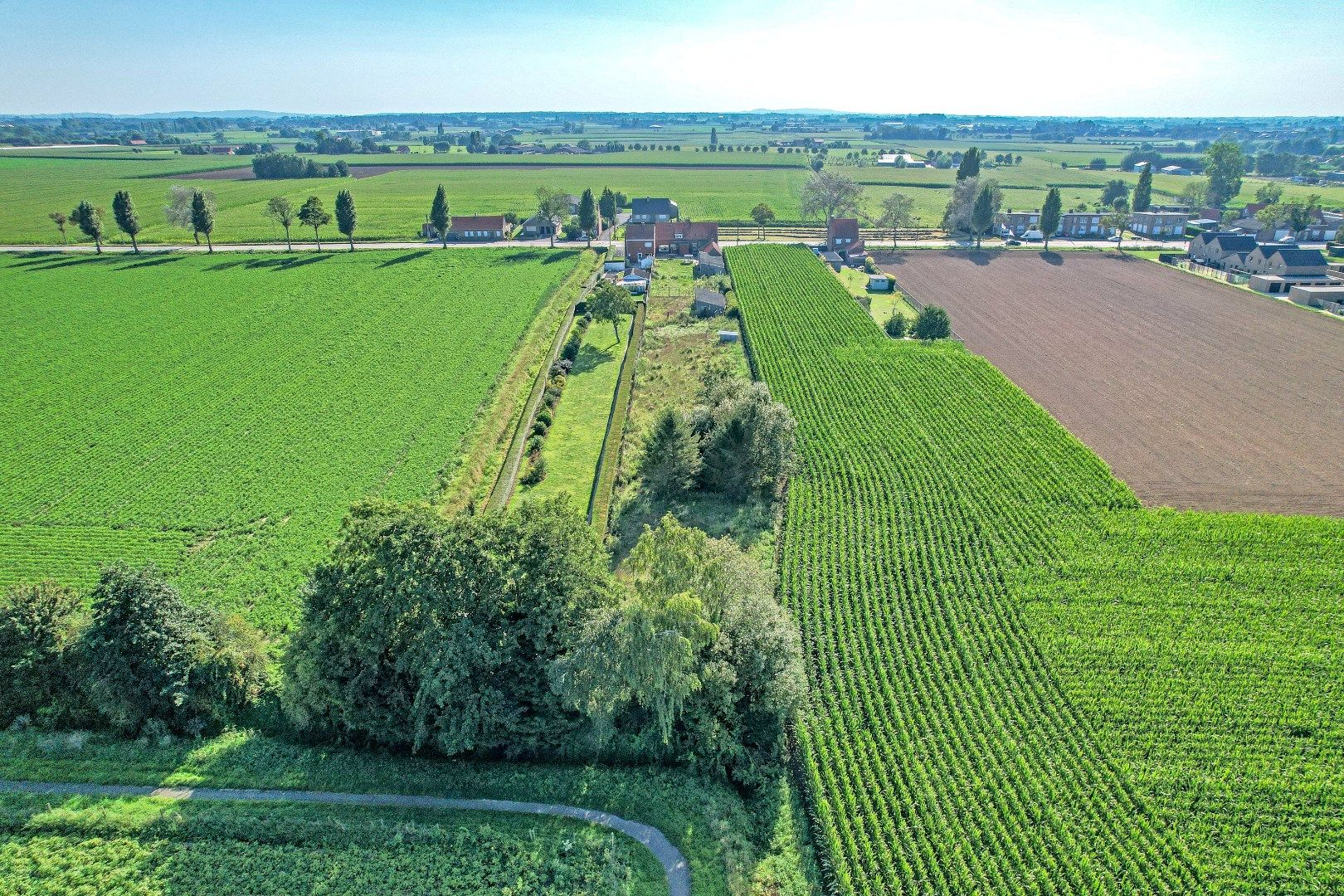 Vleteren, ruim perceel bouwgrond. Opp: 3247m². foto 3