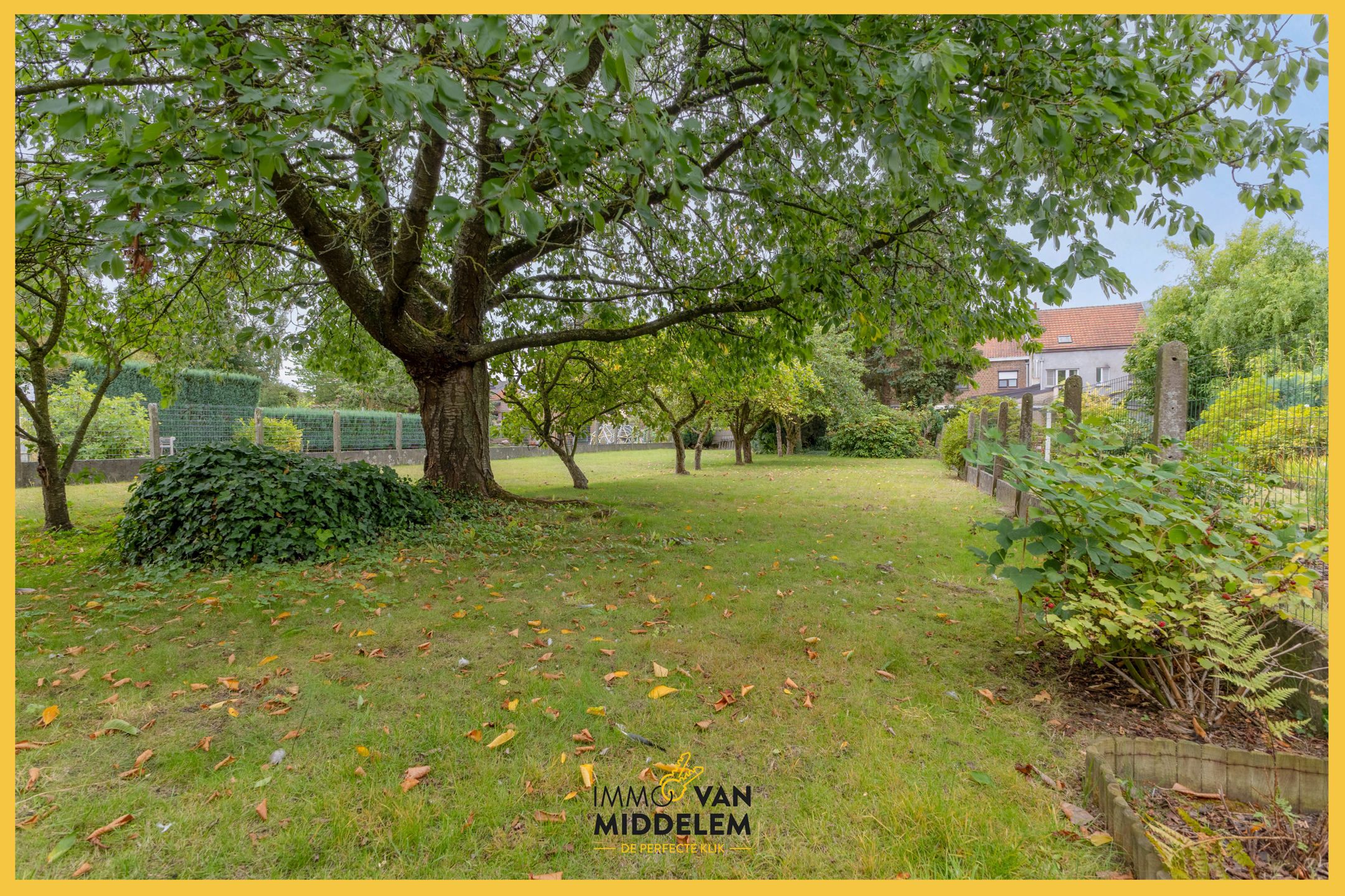 Onder OPTIE! foto 20