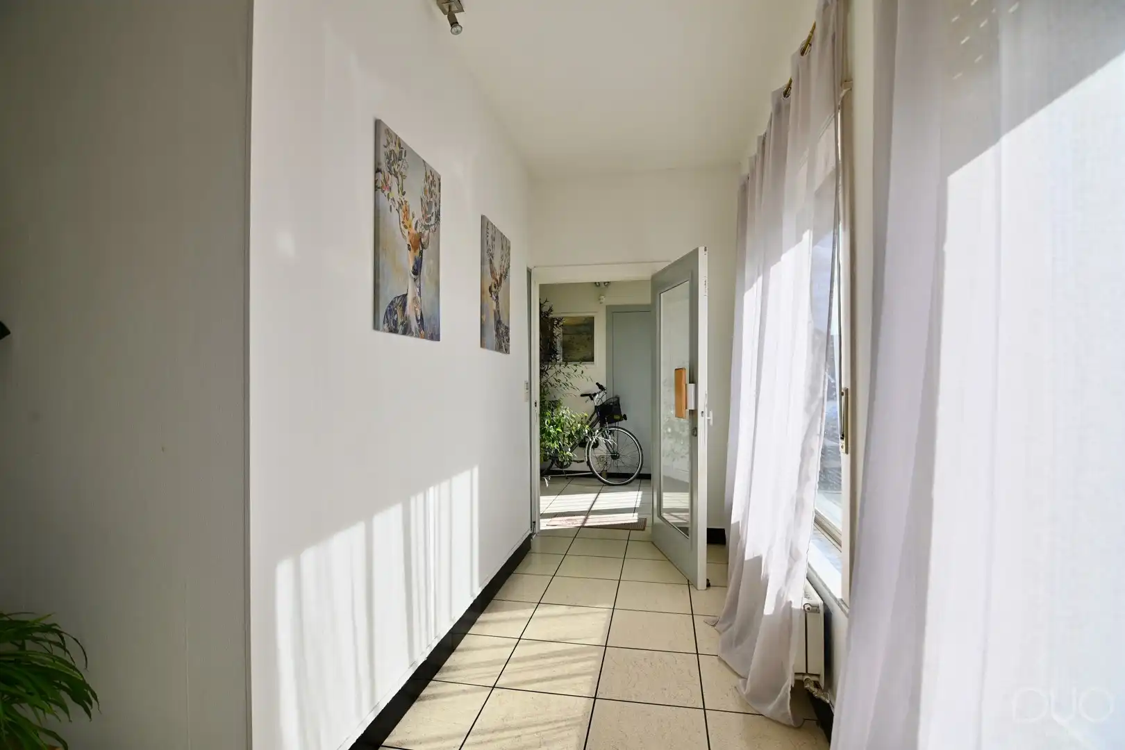 Ruim pand - makkelijk op te delen in 2 appartementen en grote tuin in het centrum van Zepperen foto 19