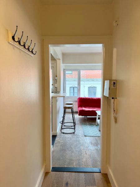 CENTRUM GENT, KNUSSE GEMEUBELDE INSTAPKLARE STUDIO foto 4