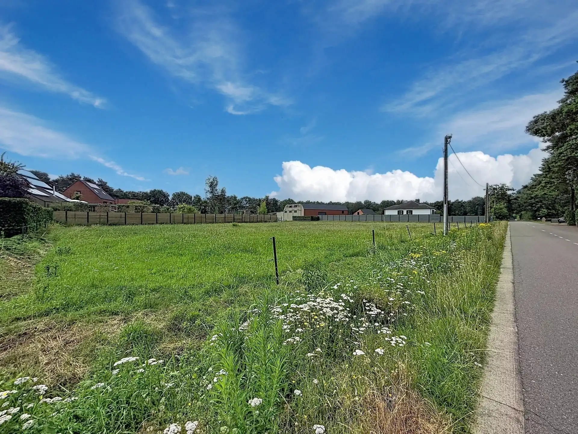 Prachtige bouwgrond van 1.340 m² op een landelijke ligging nabij Mol en Balen. foto 4
