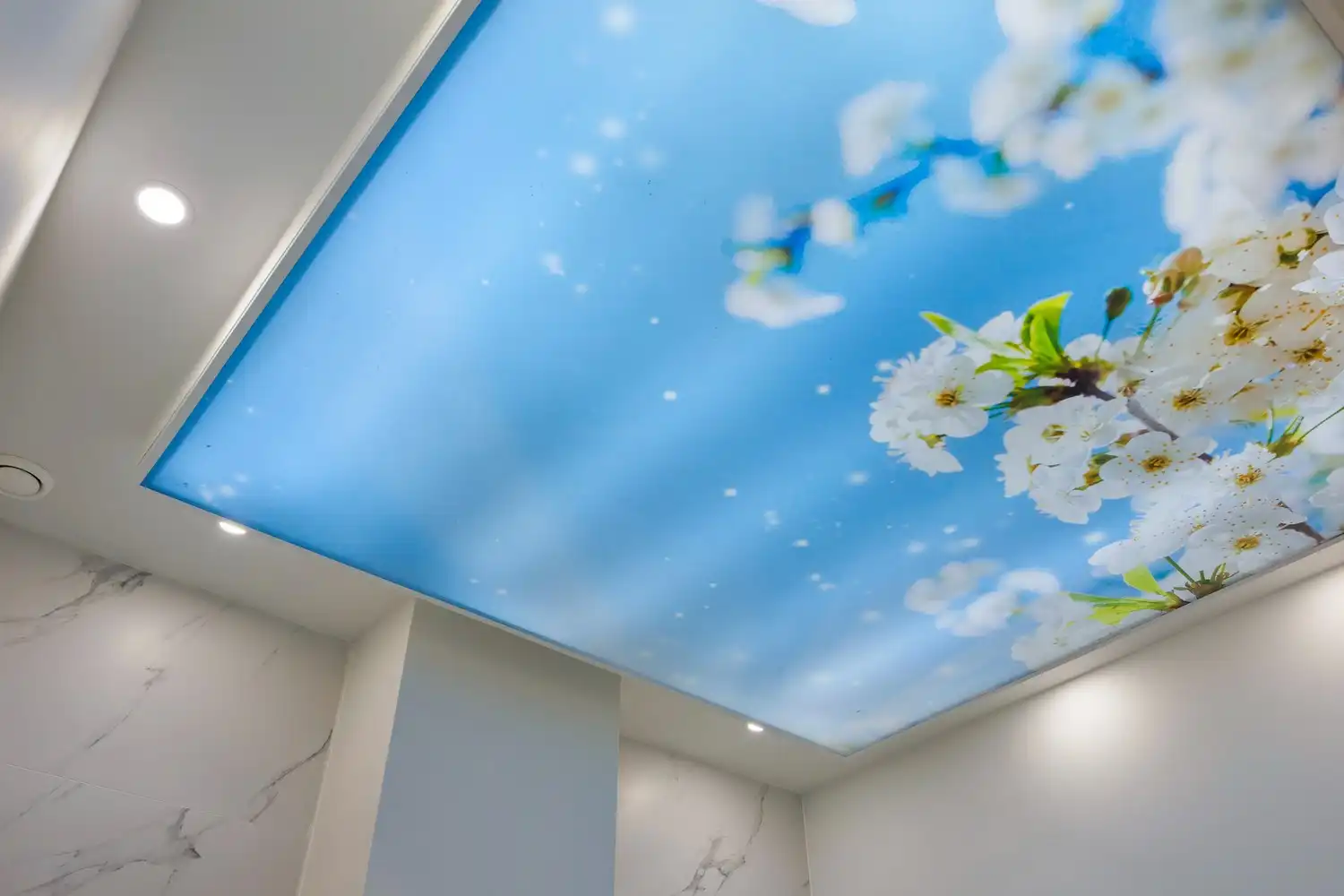 Te huur aangeboden: Veelzijdig handelspand in hartje Lanaken foto 24