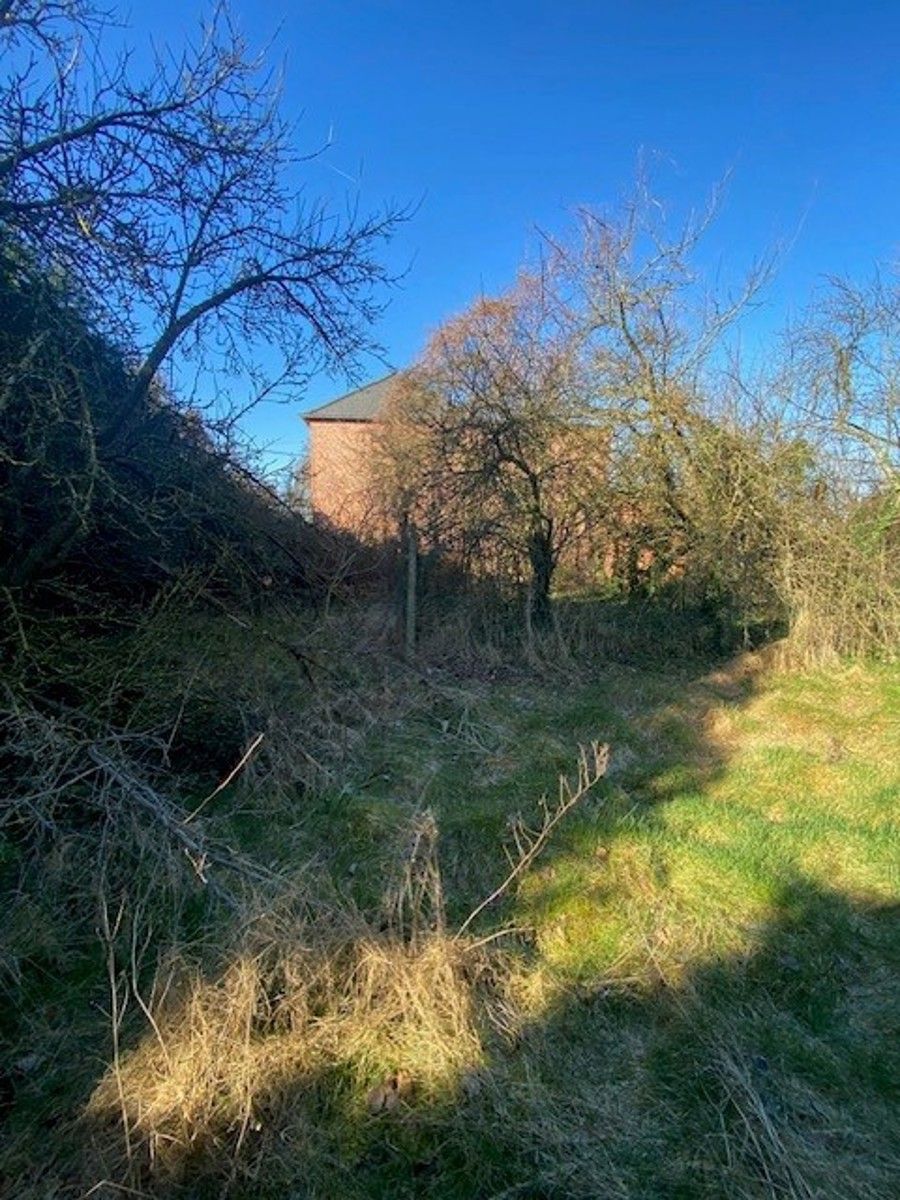 Bouwgrond voor halfopen bebouwing te Rotselaar. foto 3