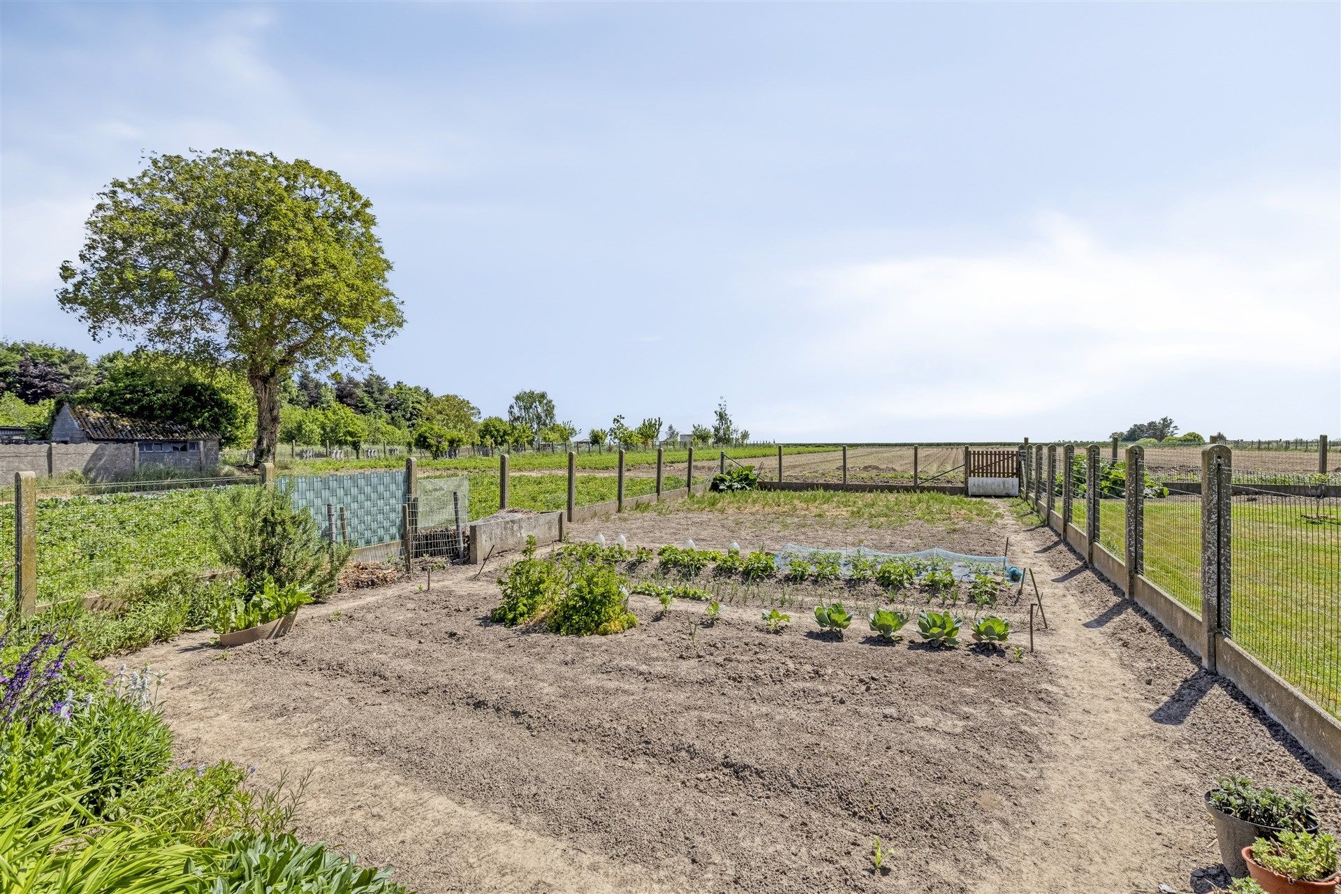 Charmante, energiezuinige woning met prachtige tuin foto 24
