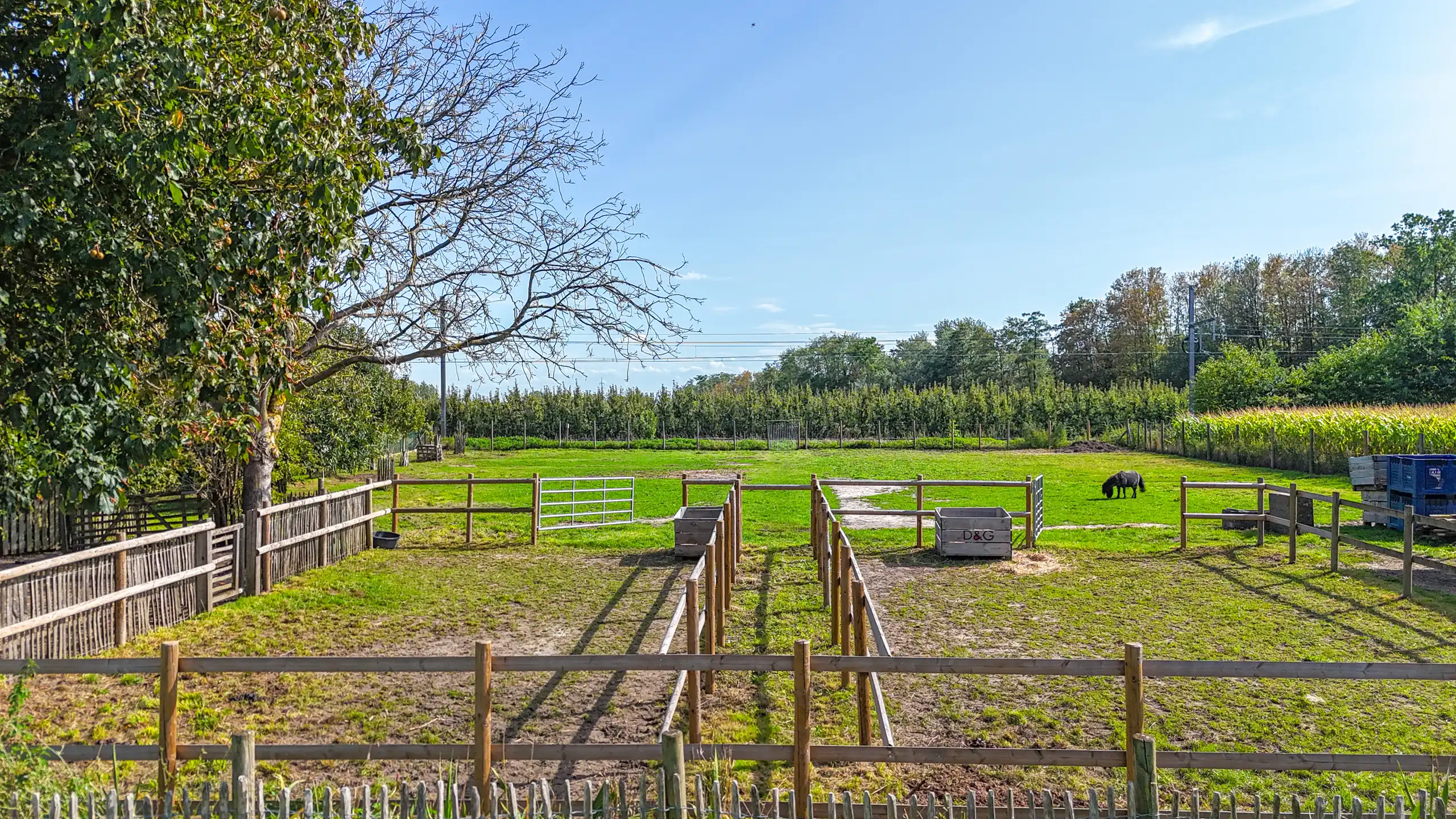 Landelijke woning met 6 slpks op perceel van 36a 70ca! foto 45