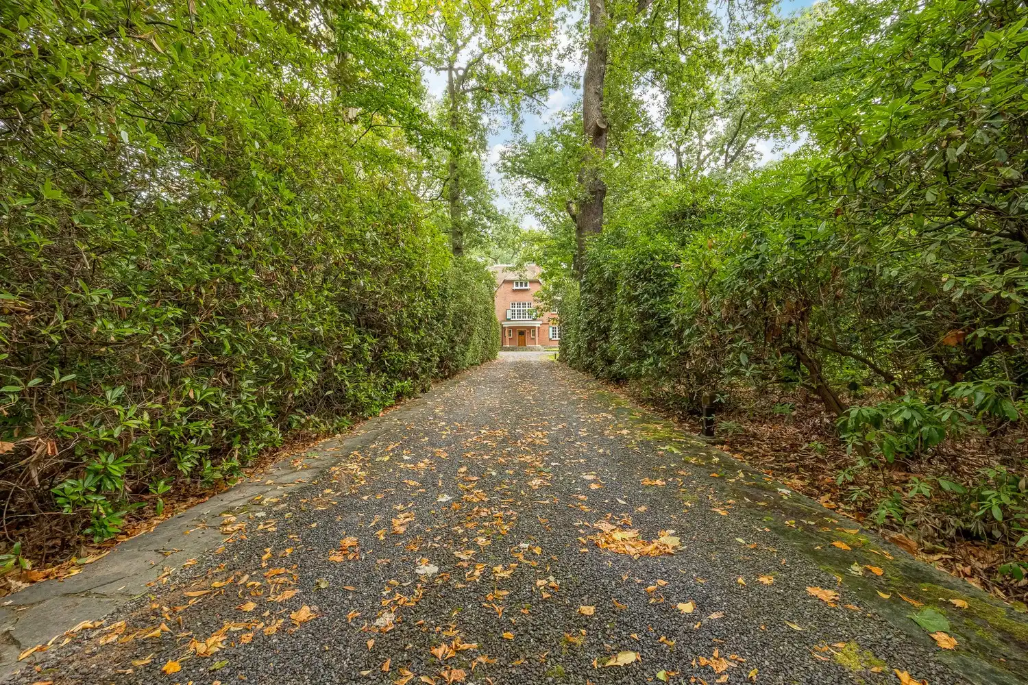 Karaktervolle te renoveren rietgedekte villa op een uitzonderlijk parkdomein van 13.670 m² in Vriesdonk (inclusief bouwgrond van ca. 4.543m²!) foto 31