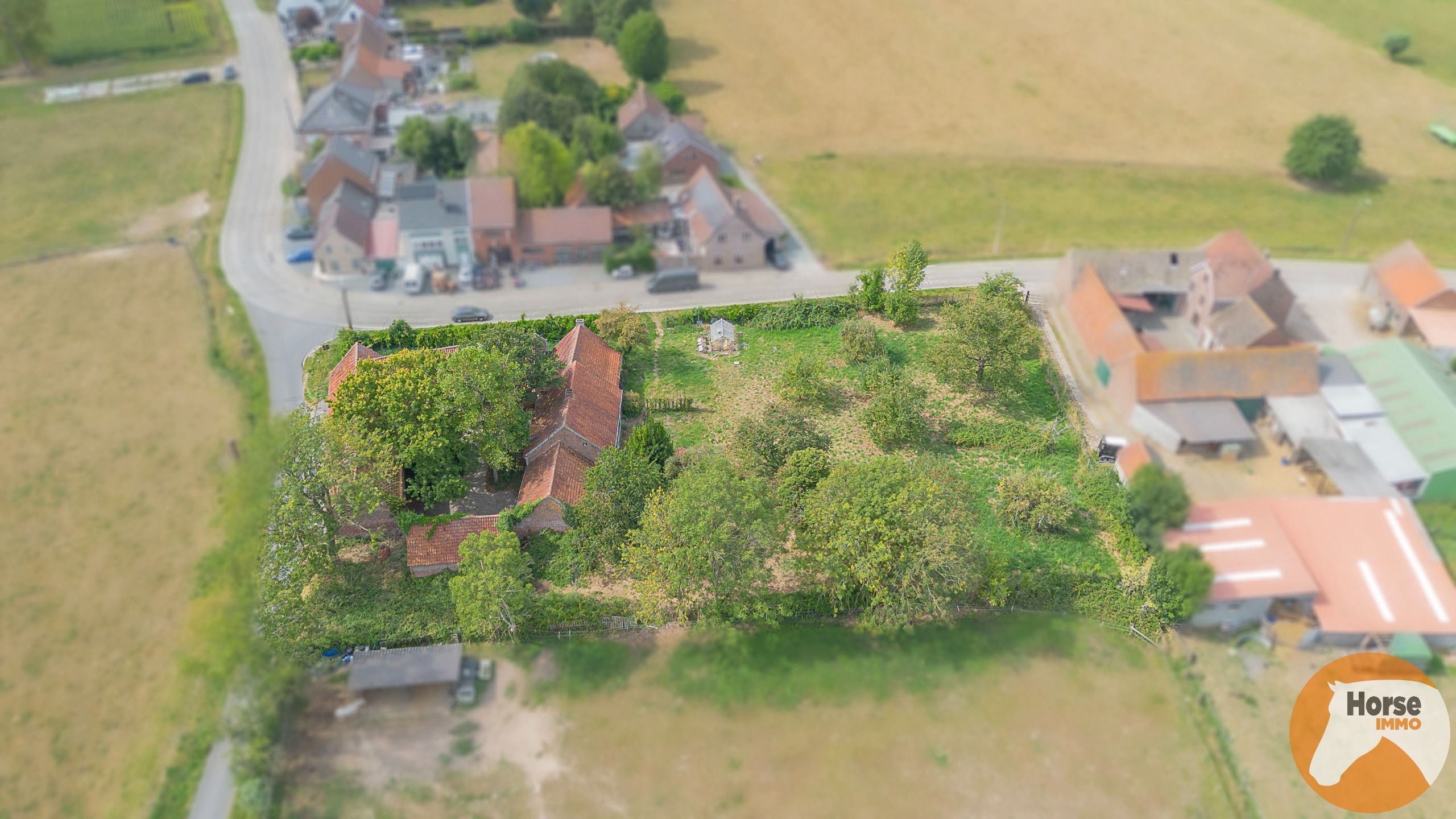 AAIGEM - Prachtige vierkantshoeve foto 6