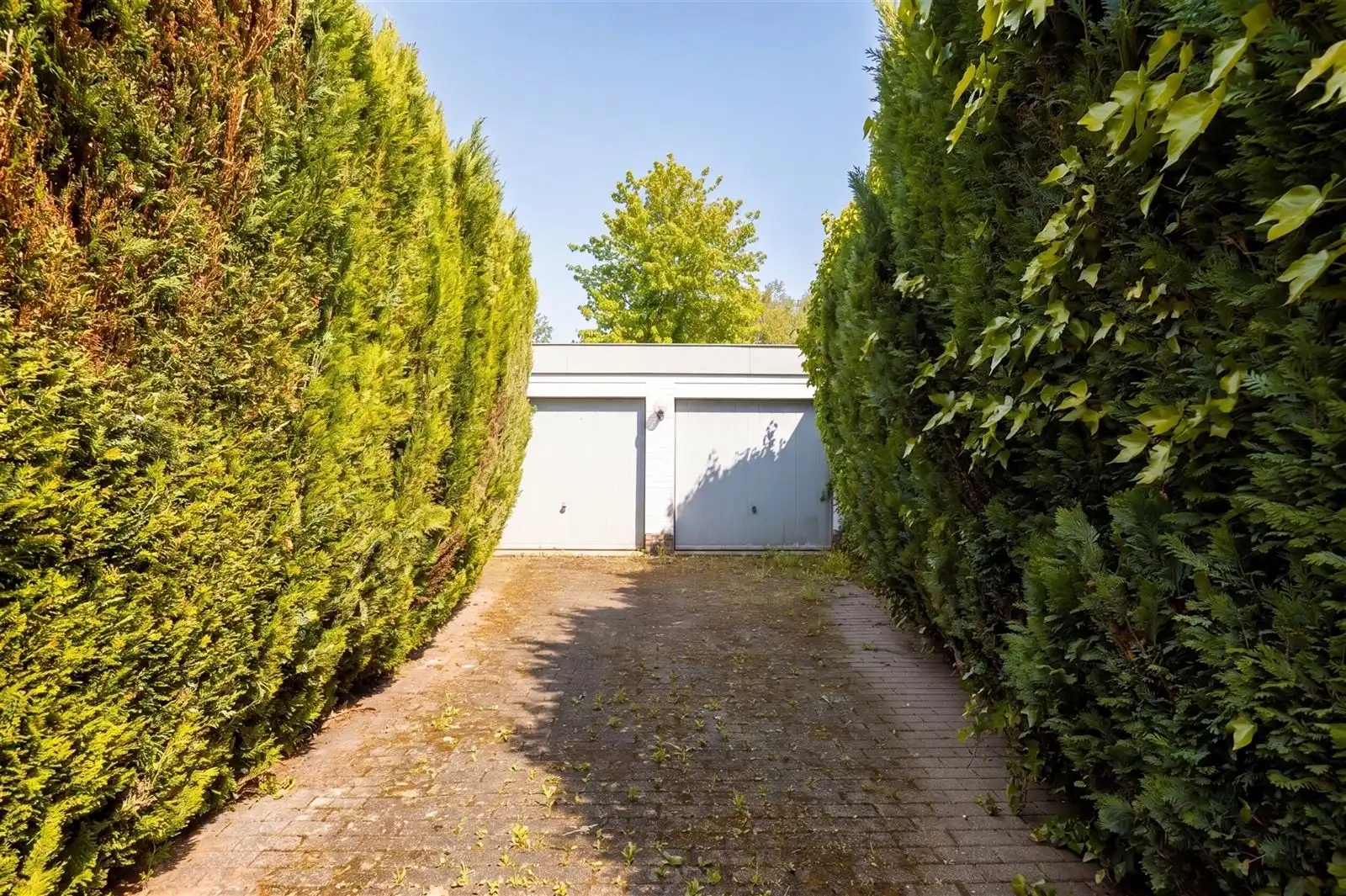 Een unieke opportuniteit voor wie op zoek is naar ruimte, rust, groen en een uitstekende ligging nabij Brussel. foto 24