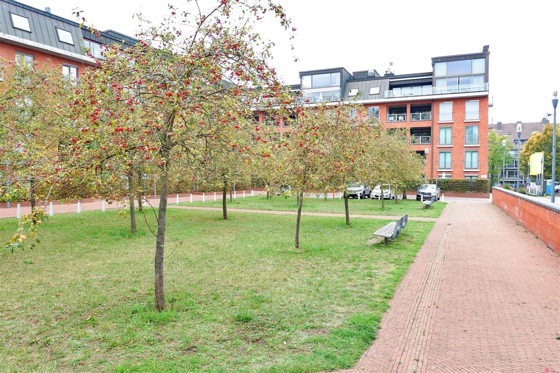 Ruim en lichtrijk appartement op wandelafstand van het centrum van Kortrijk foto 3