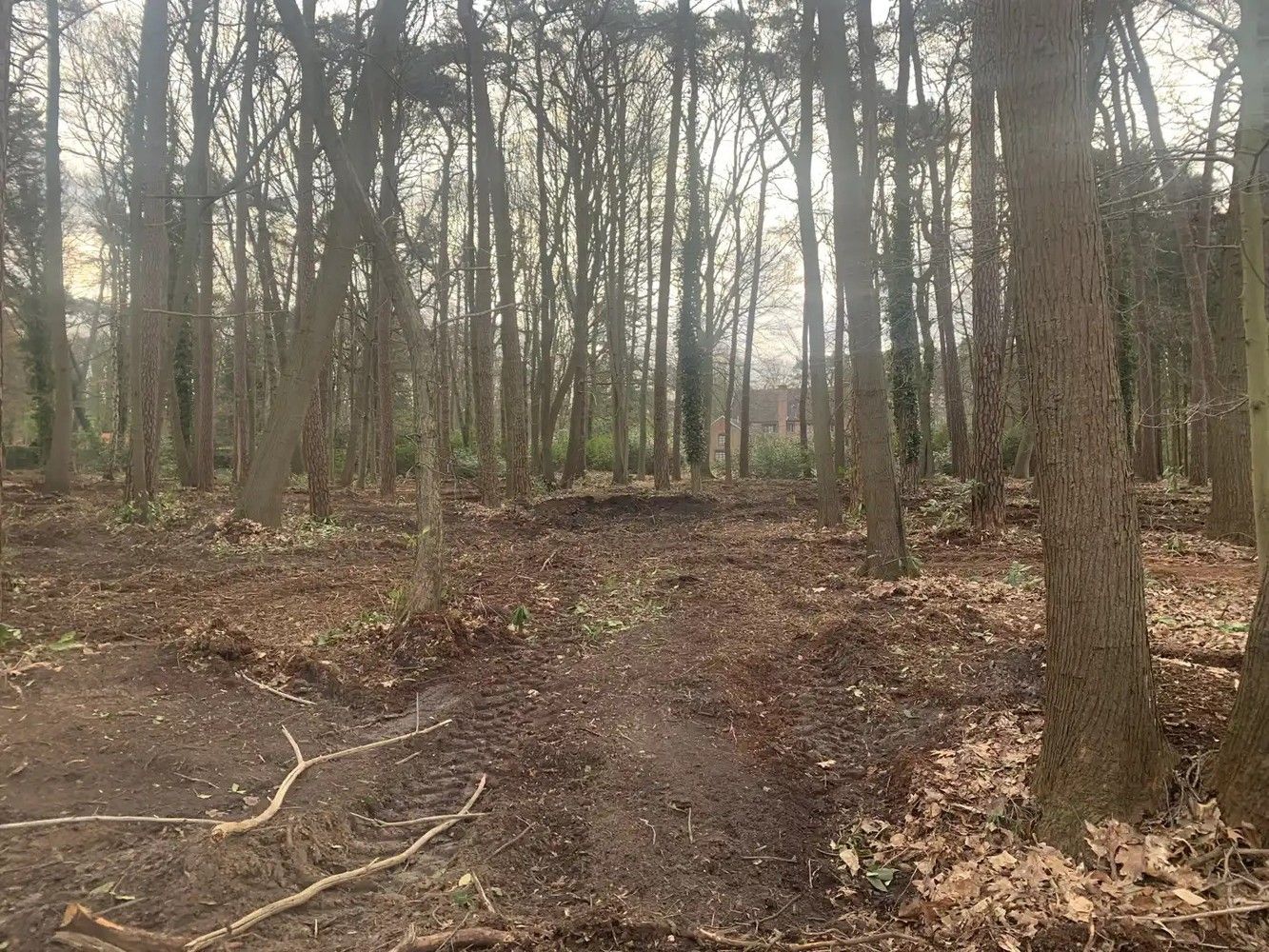 Bouwgrond (5.003 m²) voor een open bebouwing in Kapellen! foto 8
