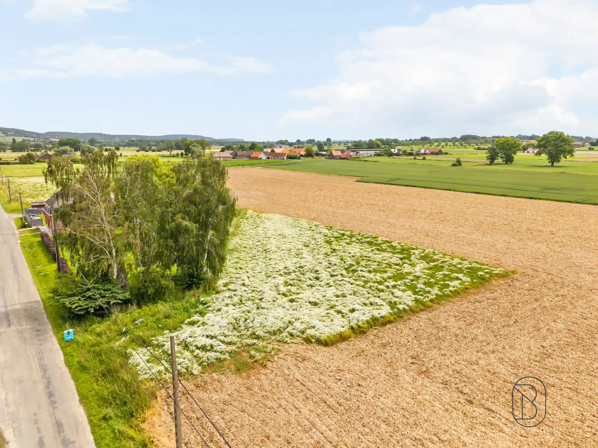 Topgelegen bouwgrond van 2.030 m² te koop in Celles. foto 5