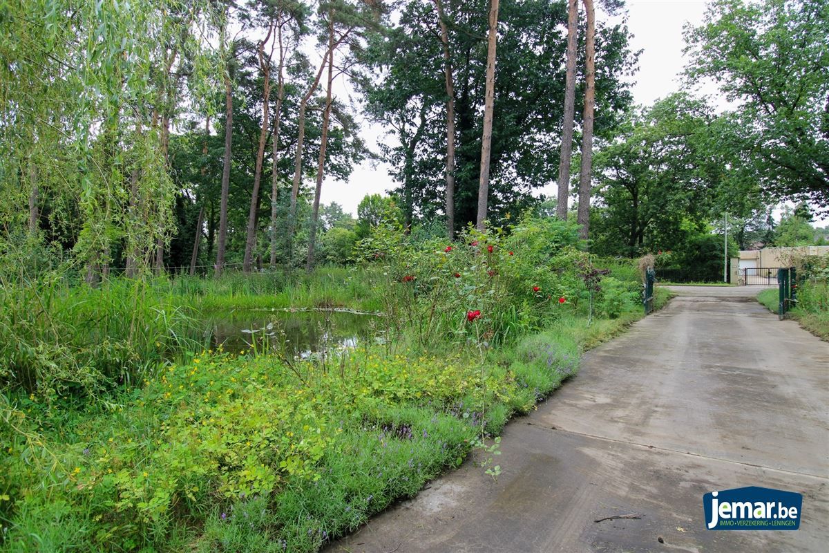 Te renoveren villa op toplocatie te Maasmechelen! foto 24