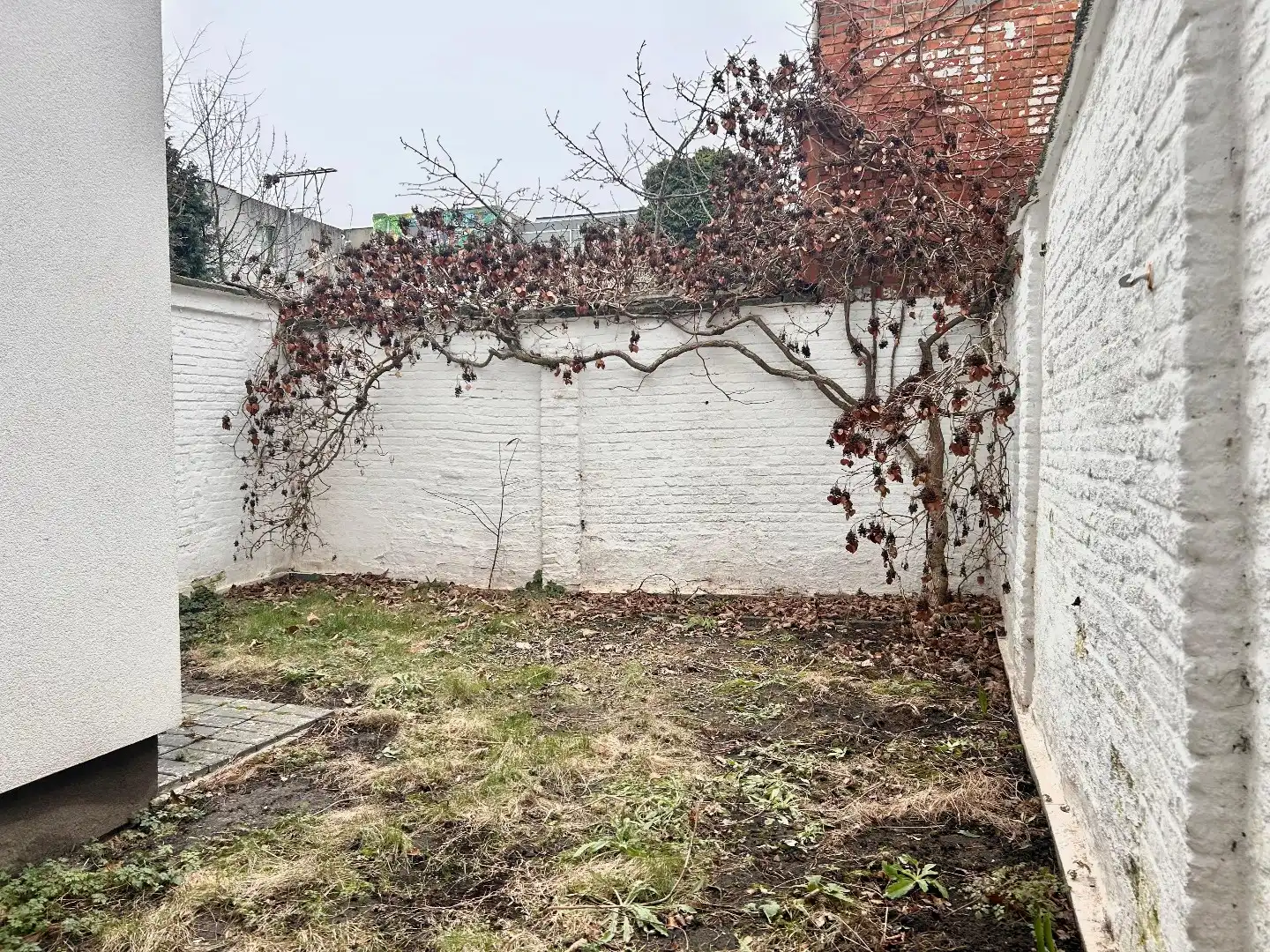 Gezellig gelijkvloers 2-slpk app met tuin. foto 11