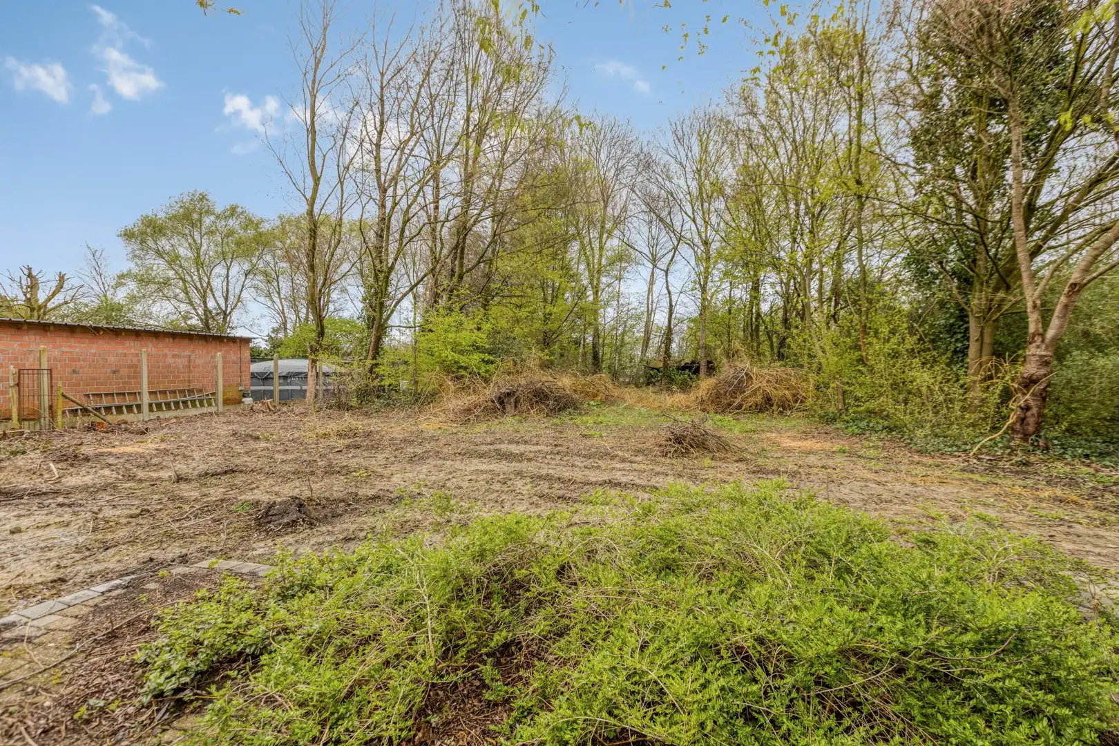 Lindenstraat 15, 3590 Diepenbeek foto 25