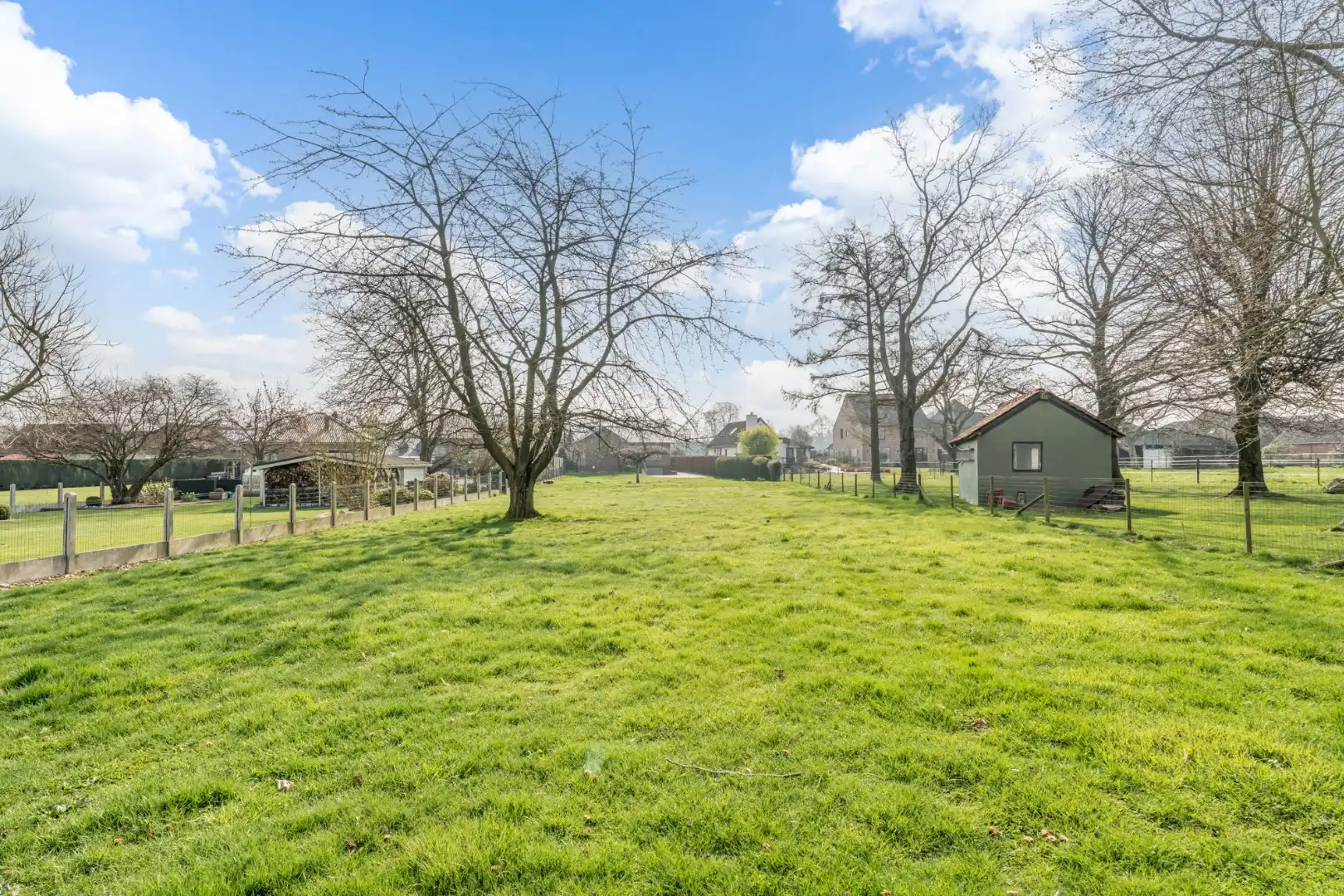 Zeer goed onderhouden gelijkvloerse gezinswoning op een riant perceel van 19a75ca op een rustige locatie te Schalkhoven, een deelgemeente van Hoeselt.  foto 40
