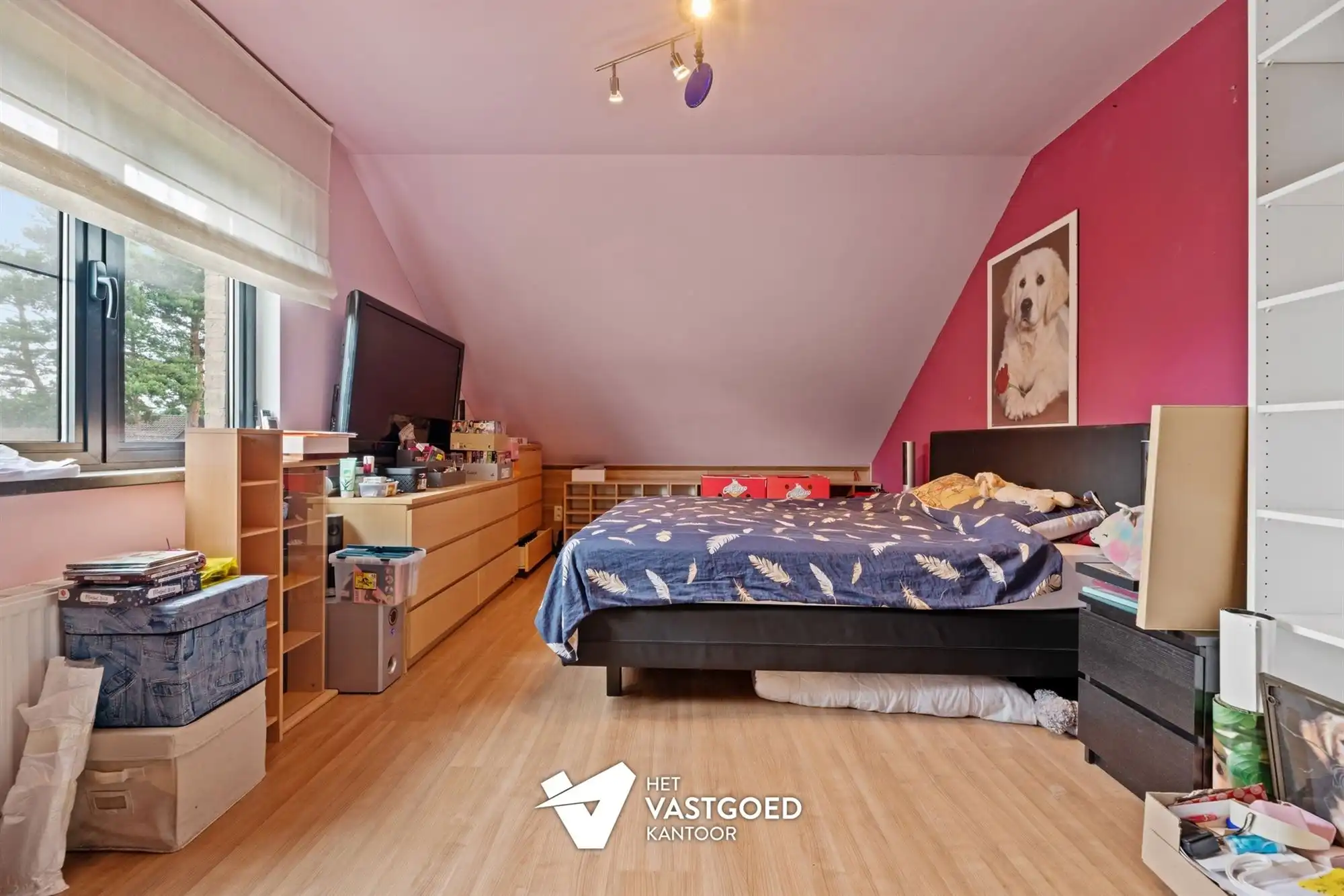 RUIME WONING MET 3 SLAAPKAMERS UITERST RUSTIG GELEGEN OP EEN PERCEEL VAN 10 ARE TE PAAL foto 12