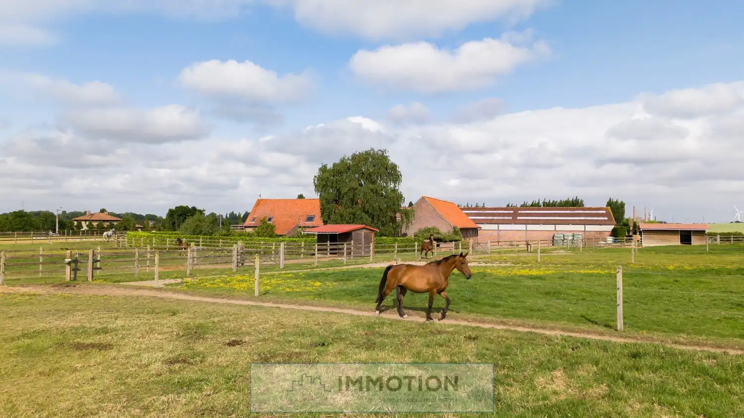 Niké's Hof - Paardenstoeterij met landelijke villa op 3,4 ha foto 32