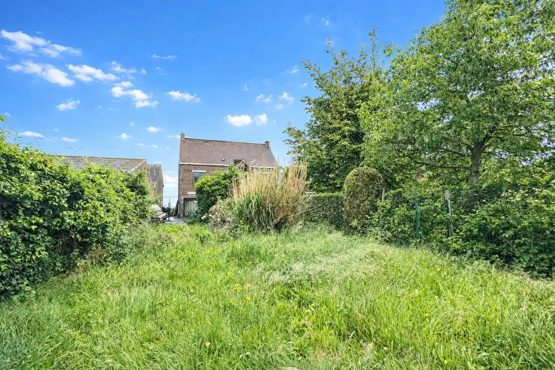 Te renoveren ruime woning met 3 SLK en TUIN foto 2