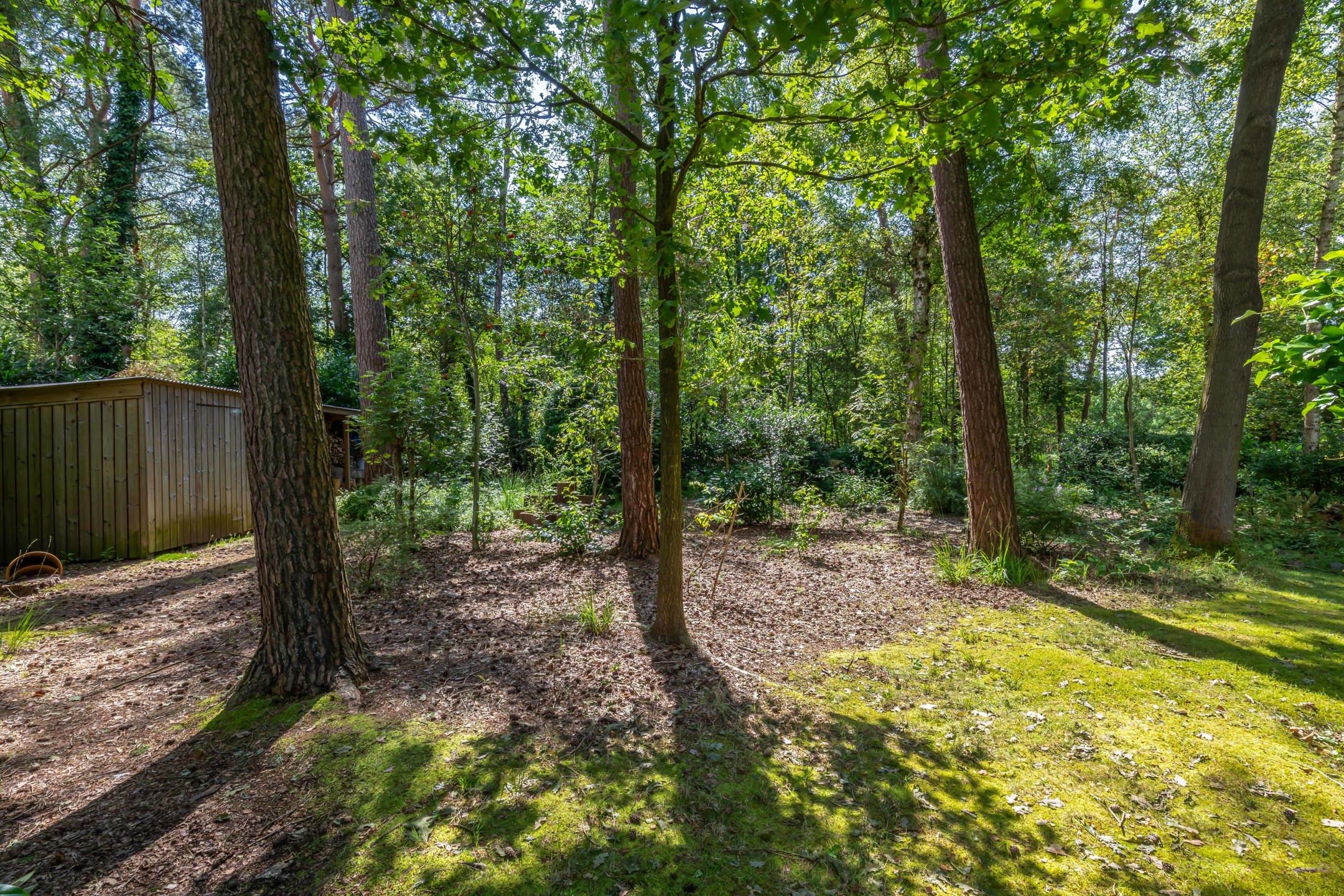 Landhuis op unieke rustige ligging aan rand van Zoerselbos  foto 16