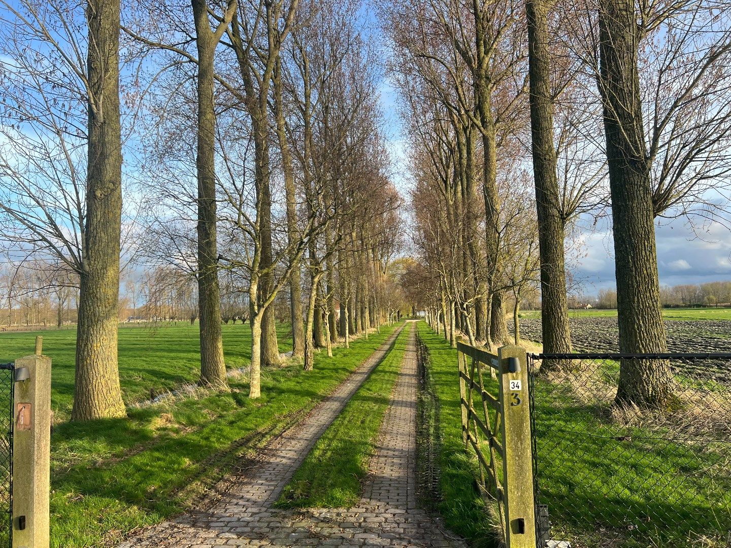 Uniek en zeer rustig gelegen hoeve op 3,9 Ha nabij Damme. foto 2