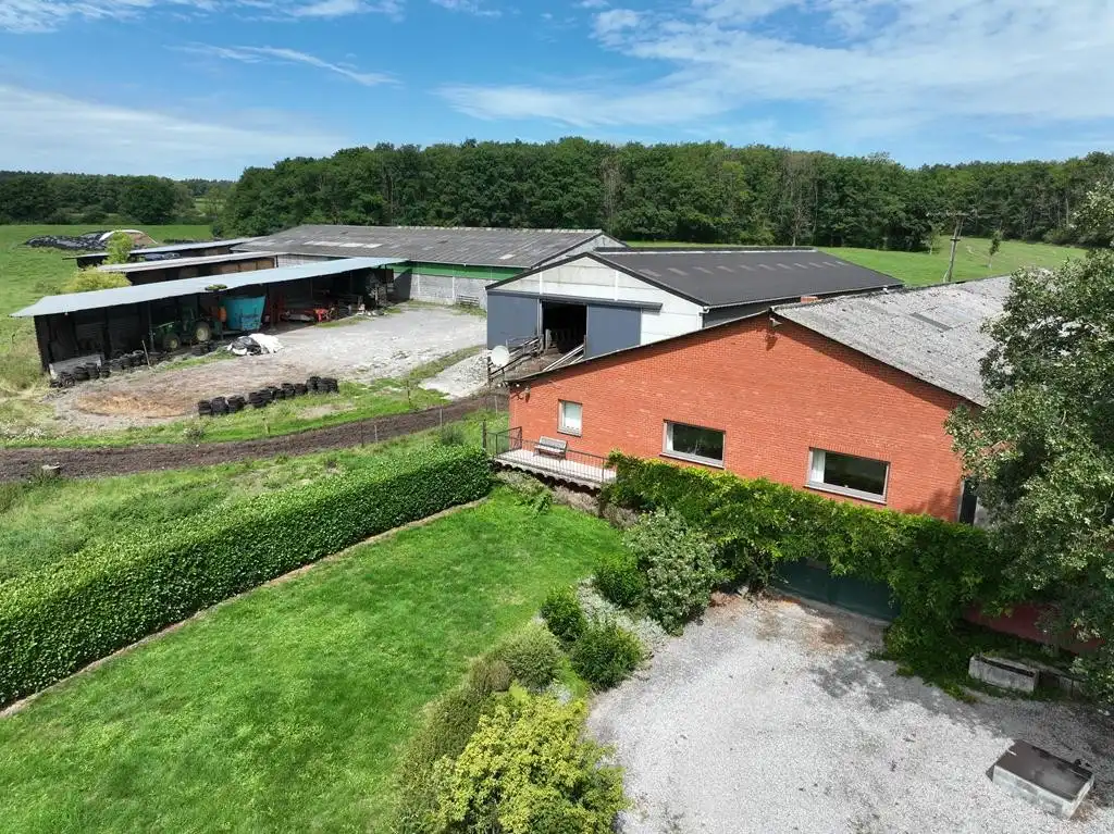 Landbouwbedrijf te Wallonië foto 6