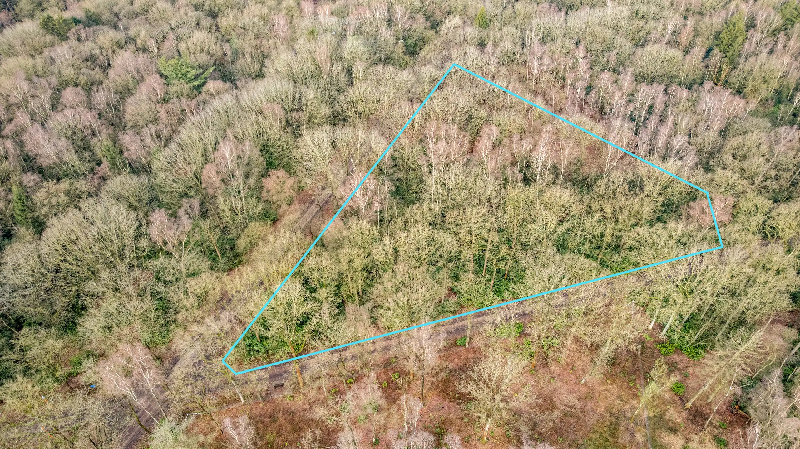 Perceel bosgrond te Gooreind! foto 4