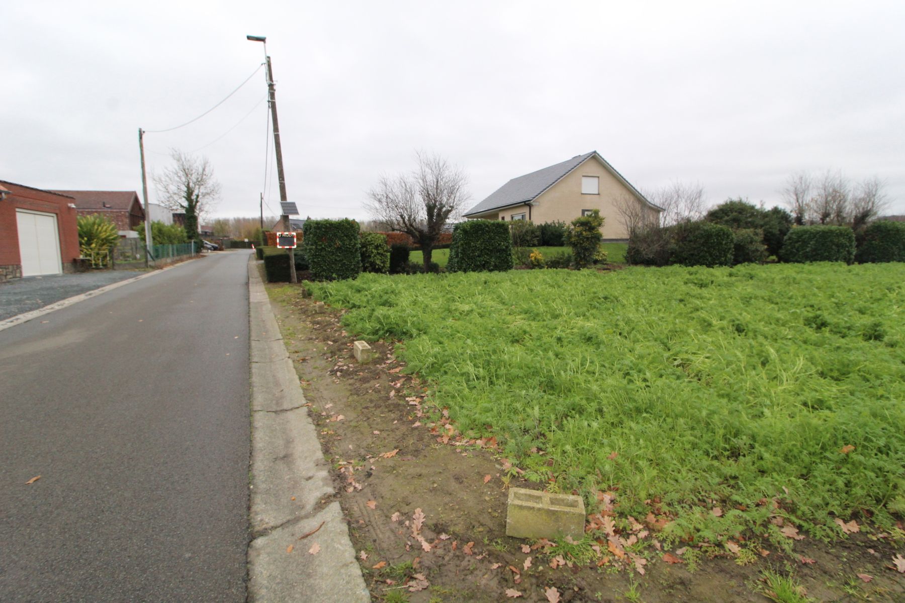 Asbeek: achtergelegen weide  foto 3