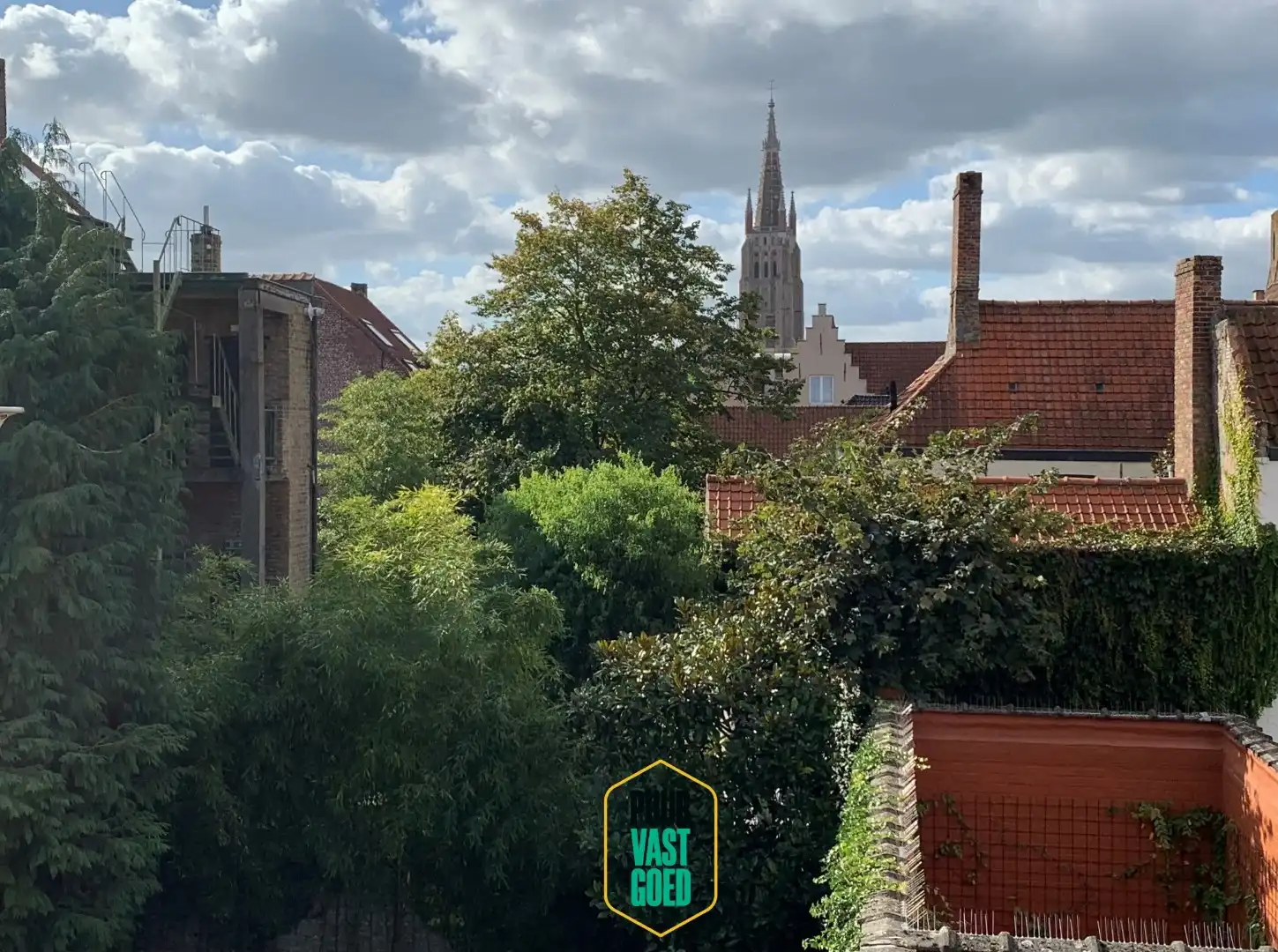 Erg ruim en aangenaam appartement tussen Astridpark en Groene Rei gelegen foto 16