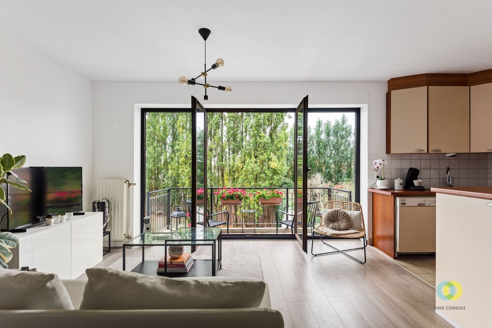 Lichtrijk appartement met 2 slaapkamers + garage foto 2