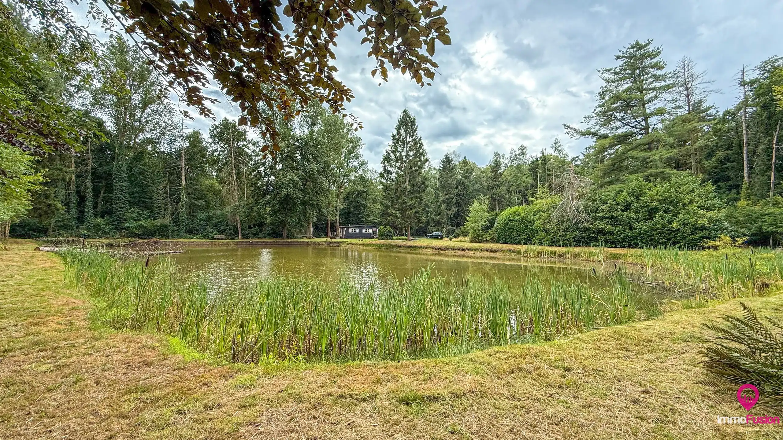 Droom buitenverblijf in Hasselt voor natuurliefhebbers!  foto 35