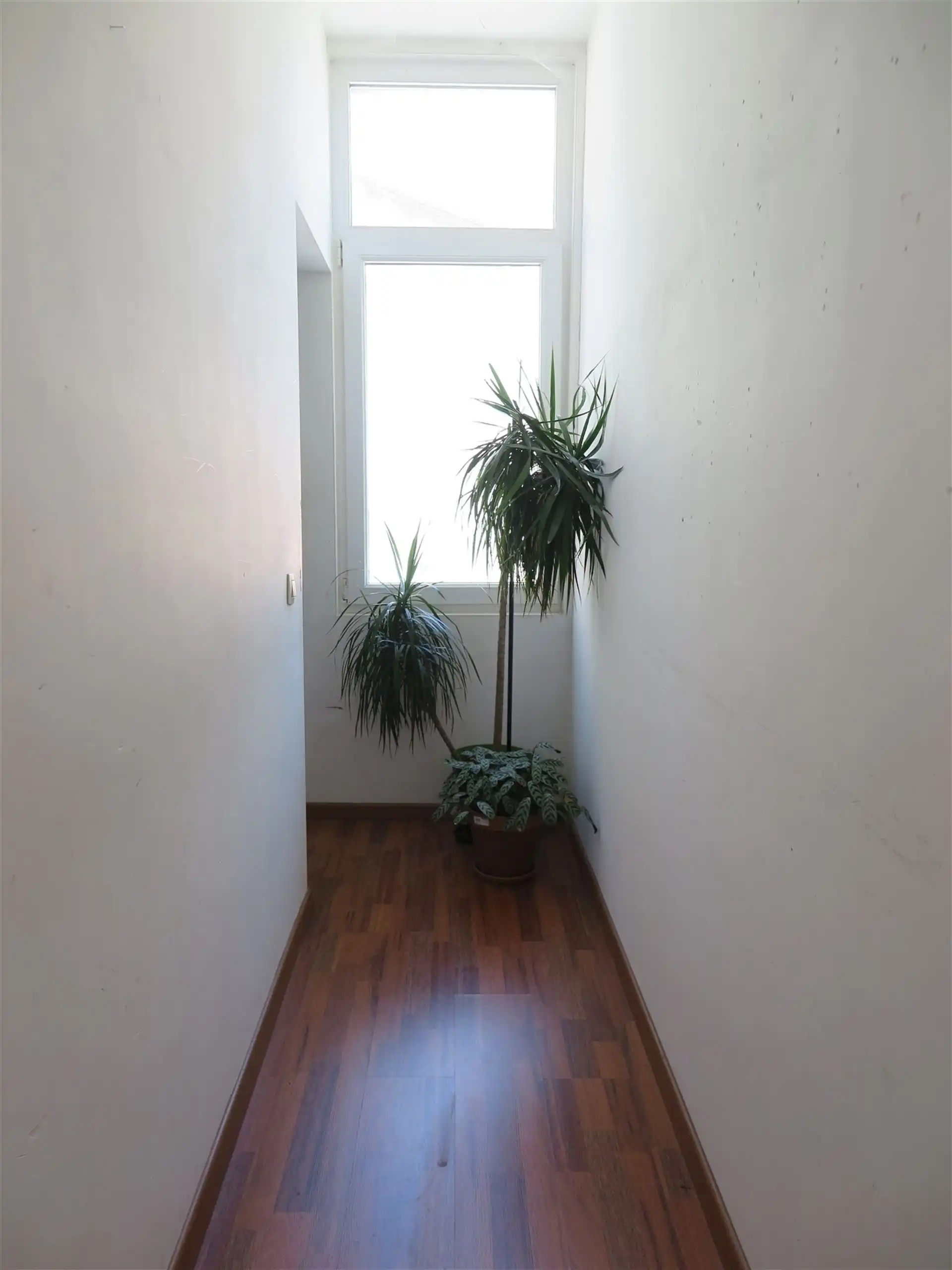 Huis foto 5