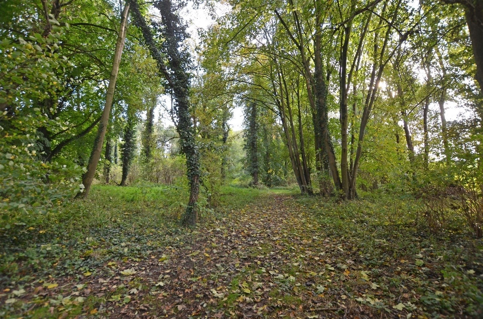 Uniek kasteeldomein op ±6.5 Ha met veel mogelijkheden foto 26