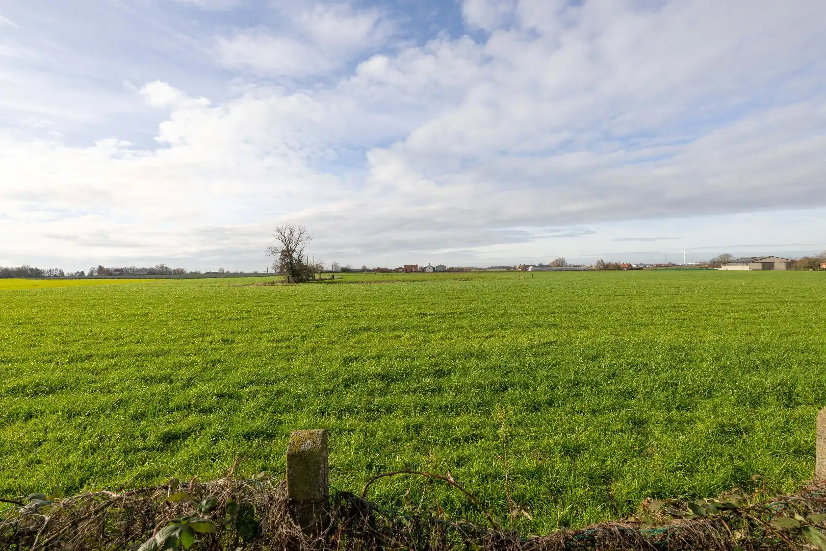 VERDER TE RENOVEREN GEZINSWONING OP PRACHTIG PERCEEL GROND 1.059 m² foto 5