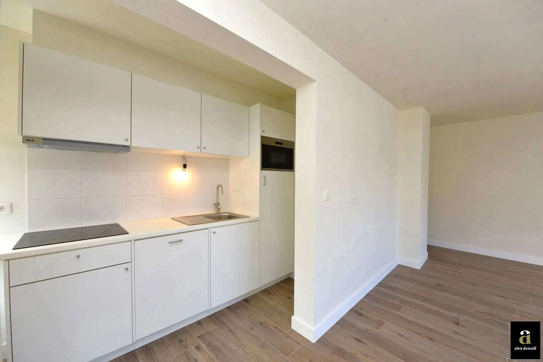 1-slaapkamerappartement met zeezicht in de Bayauxlaan. foto 5