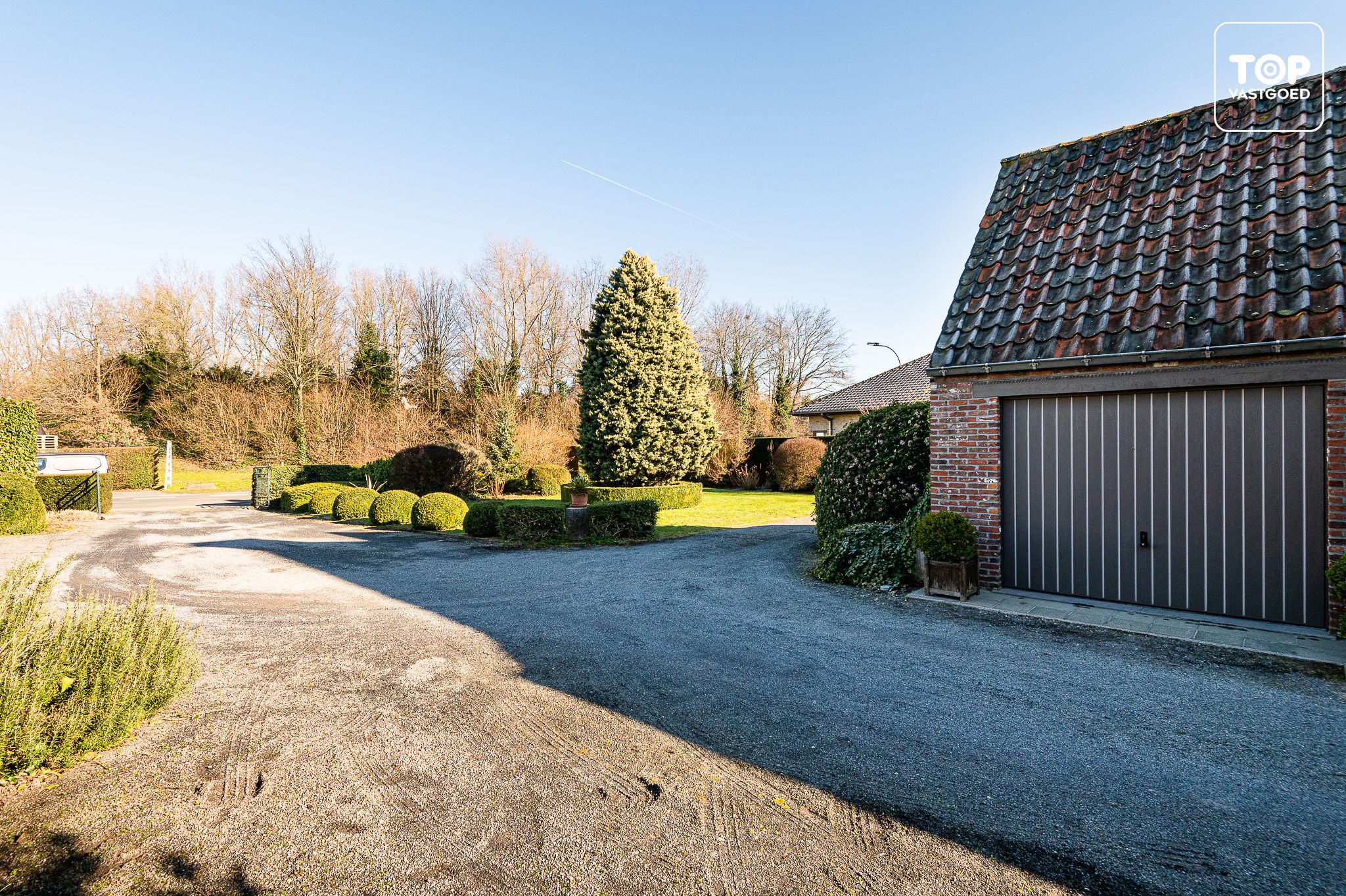 Prachtige te renoveren hoeve met voormalige olieslagerij en stokerij foto 3