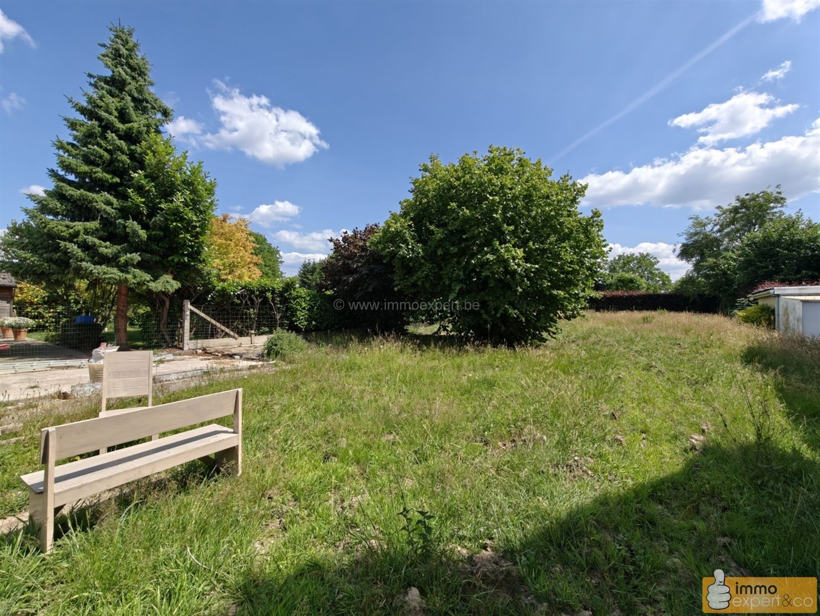 BORCHTLOMBEEK: Te renoveren woning op mooi perceel foto 9