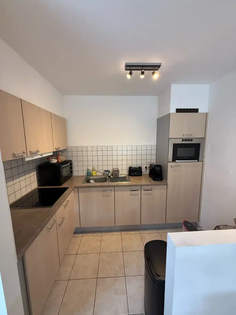 Gelijkvloers appartement met 2 slaapkamers en terras met groen uitzicht te Diepenbeek. foto 6