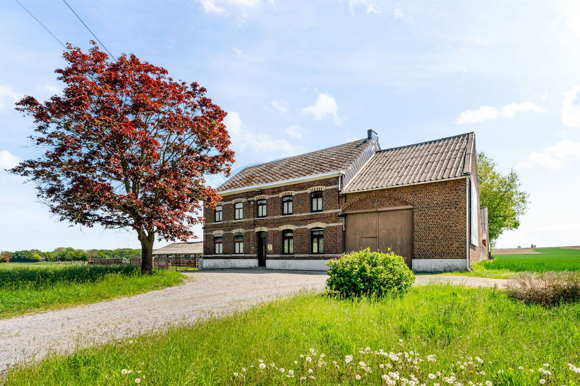 Hoofdfoto van de publicatie: Te renoveren vierkantshoeve met weilanden