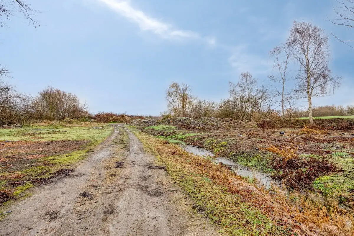 Tuinbouwcentrum met ruime woning op een perceel van 4,26 hectare foto 15